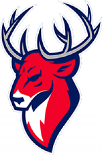 first team logo