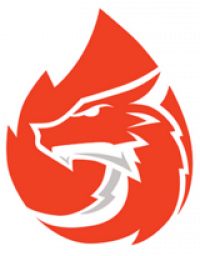 first team logo