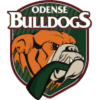 first team logo