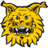 first team logo