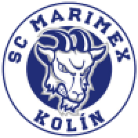 first team logo