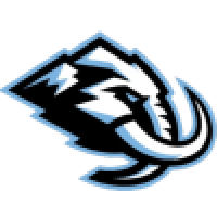 first team logo