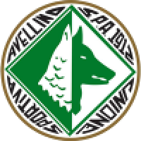 first team logo