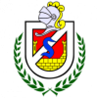 first team logo