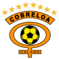 first team logo