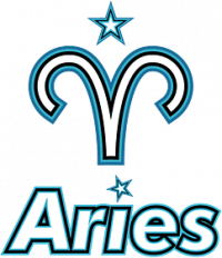 first team logo