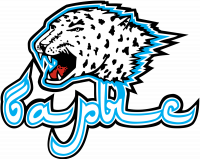 first team logo