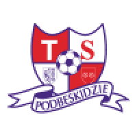 first team logo