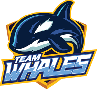 first team logo