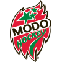 first team logo