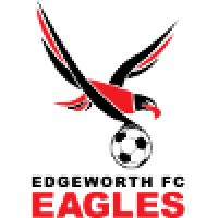 first team logo