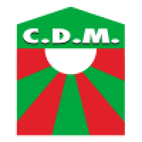 first team logo