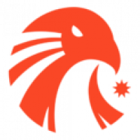 first team logo